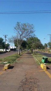 Corte de grama no canteiro central da Av. Guilherme Augustin