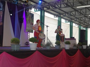 Programação contou com palestrantes renomados e uma apresentação teatral - Foto: Poliana Glienke