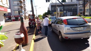 Mudas de árvores Nativas foram fornecidas pela empresa E. Orlando Roos 