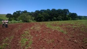 Terraplanagem em Colônia Saudades para a família Nienow