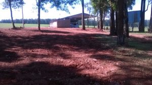 Ensaibramento no pátio do campo do ipiranga na Vila Conceição